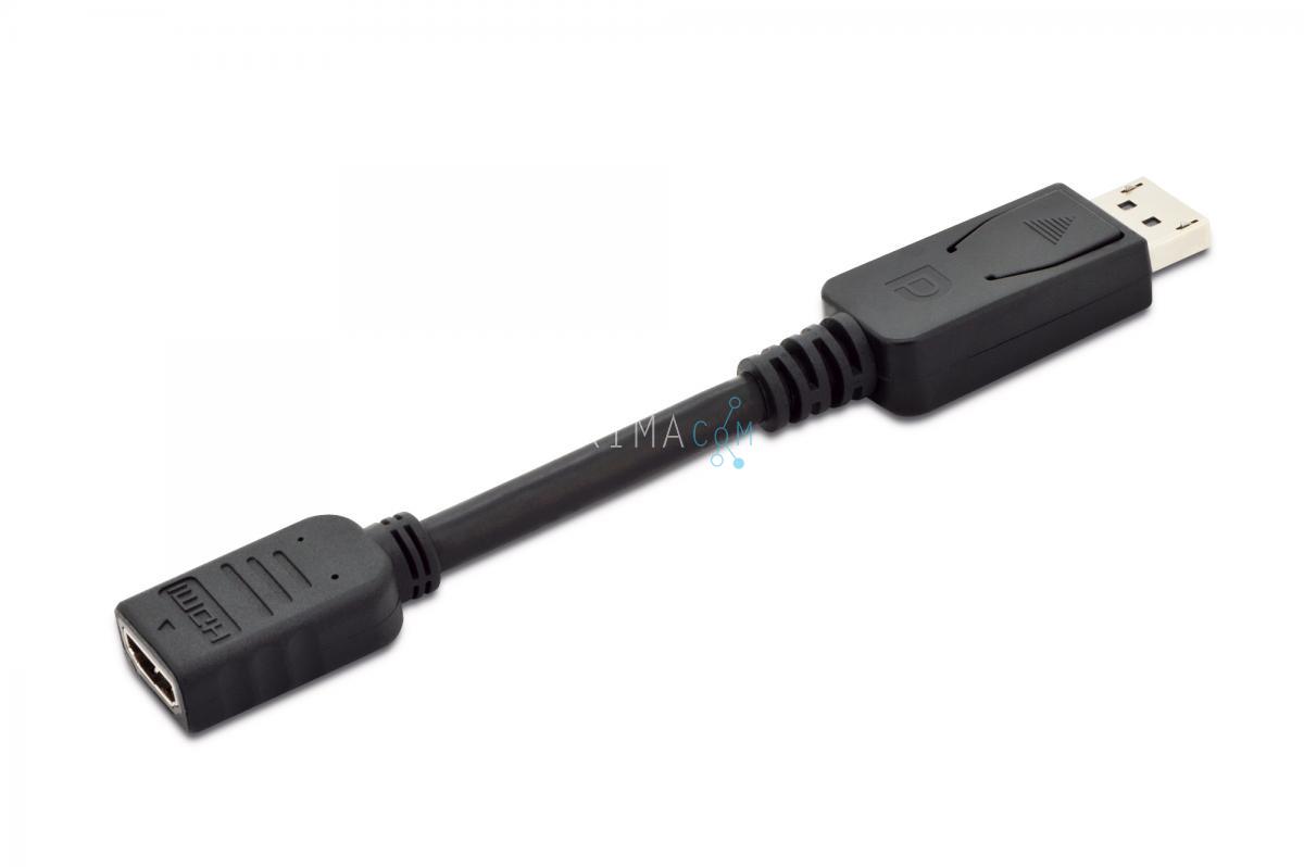 DisplayPort Adapter / Converter