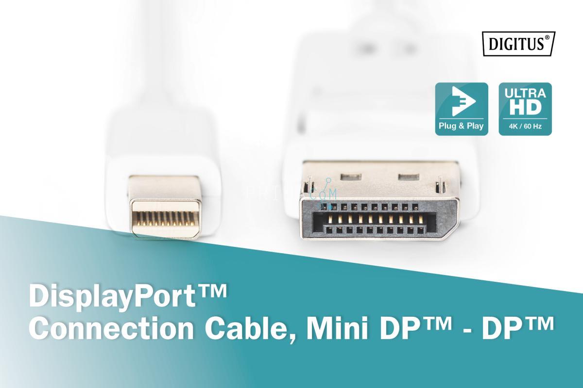 AK-340102-020-W DisplayPort connection cable, mini DP - DP M/M, 2.0m, w/interlock