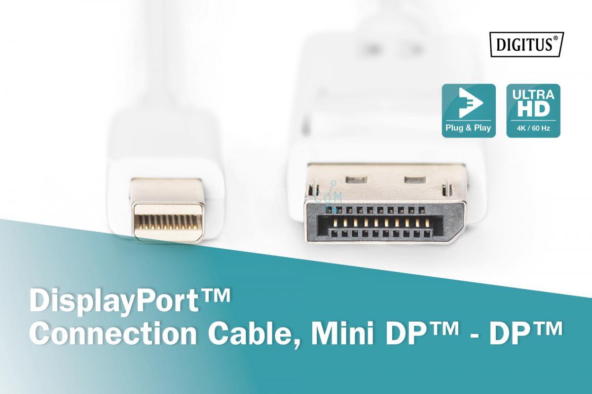 AK-340102-030-W DisplayPort connection cable, mini DP - DP M/M, 3.0m, w/interlock